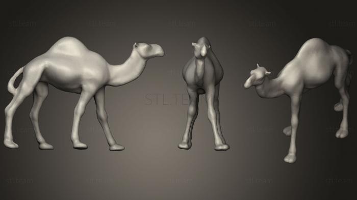 Статуэтки животных Верблюд
